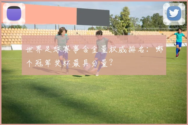 世界足球赛事含金量权威排名：哪个冠军奖杯最具分量？