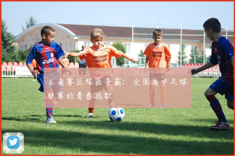 东南赛区绿茵争霸：全国高中足球联赛的青春战歌
