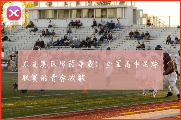东南赛区绿茵争霸：全国高中足球联赛的青春战歌