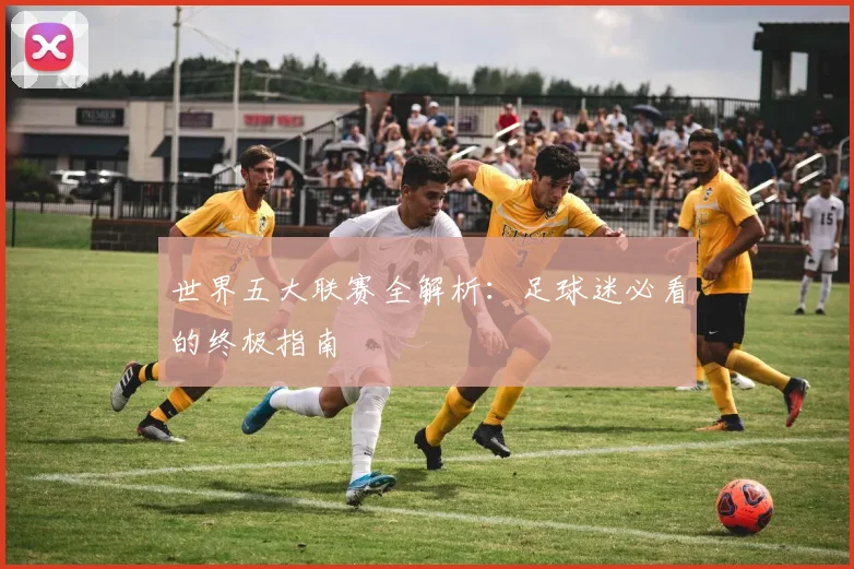 世界五大联赛全解析：足球迷必看的终极指南