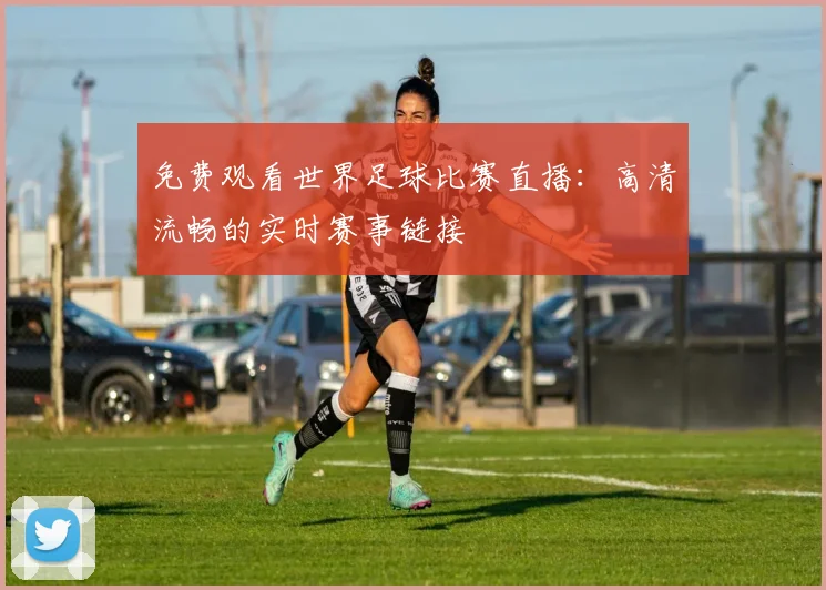 免费观看世界足球比赛直播:高清流畅的实时赛事链接
