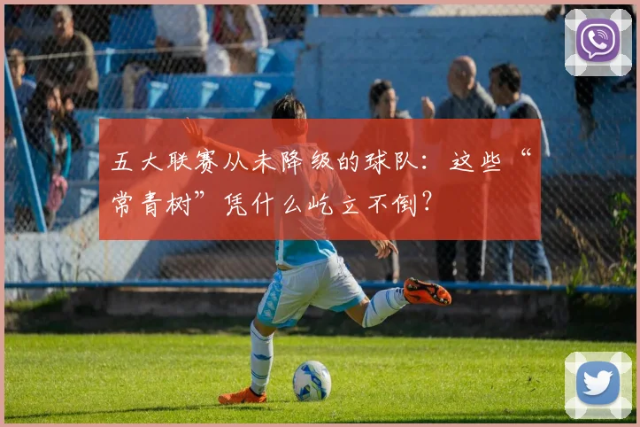 五大联赛从未降级的球队:这些“常青树”凭什么屹立不倒?