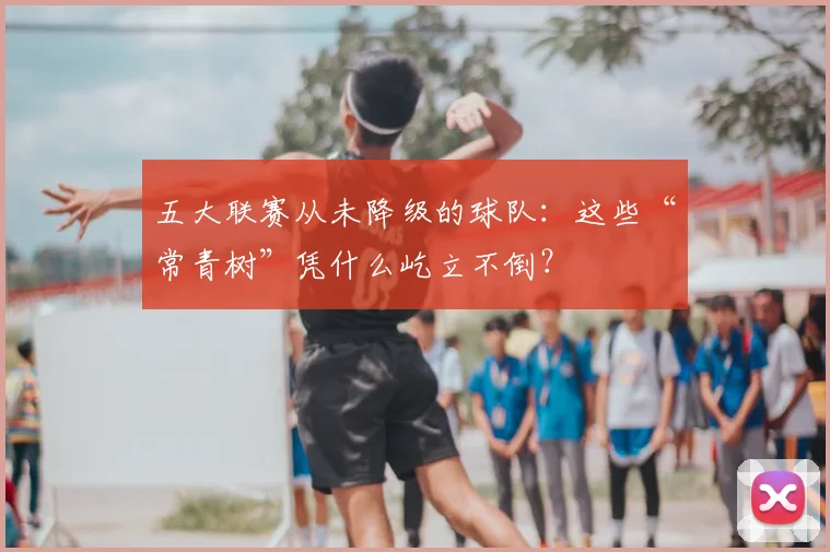 五大联赛从未降级的球队:这些“常青树”凭什么屹立不倒?
